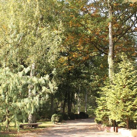 Hotel Und Restaurant Waldschloesschen Crivitz Екстер'єр фото