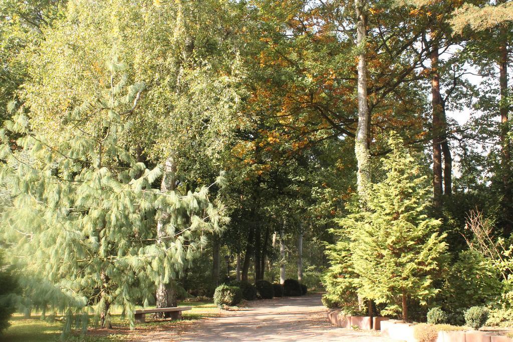 Hotel Und Restaurant Waldschloesschen Crivitz Екстер'єр фото